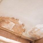 Rutubet Kokusu Nasıl Giderilir